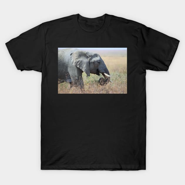 African Elephant Portrait, Serengeti, Tanzania. T-Shirt by Carole-Anne